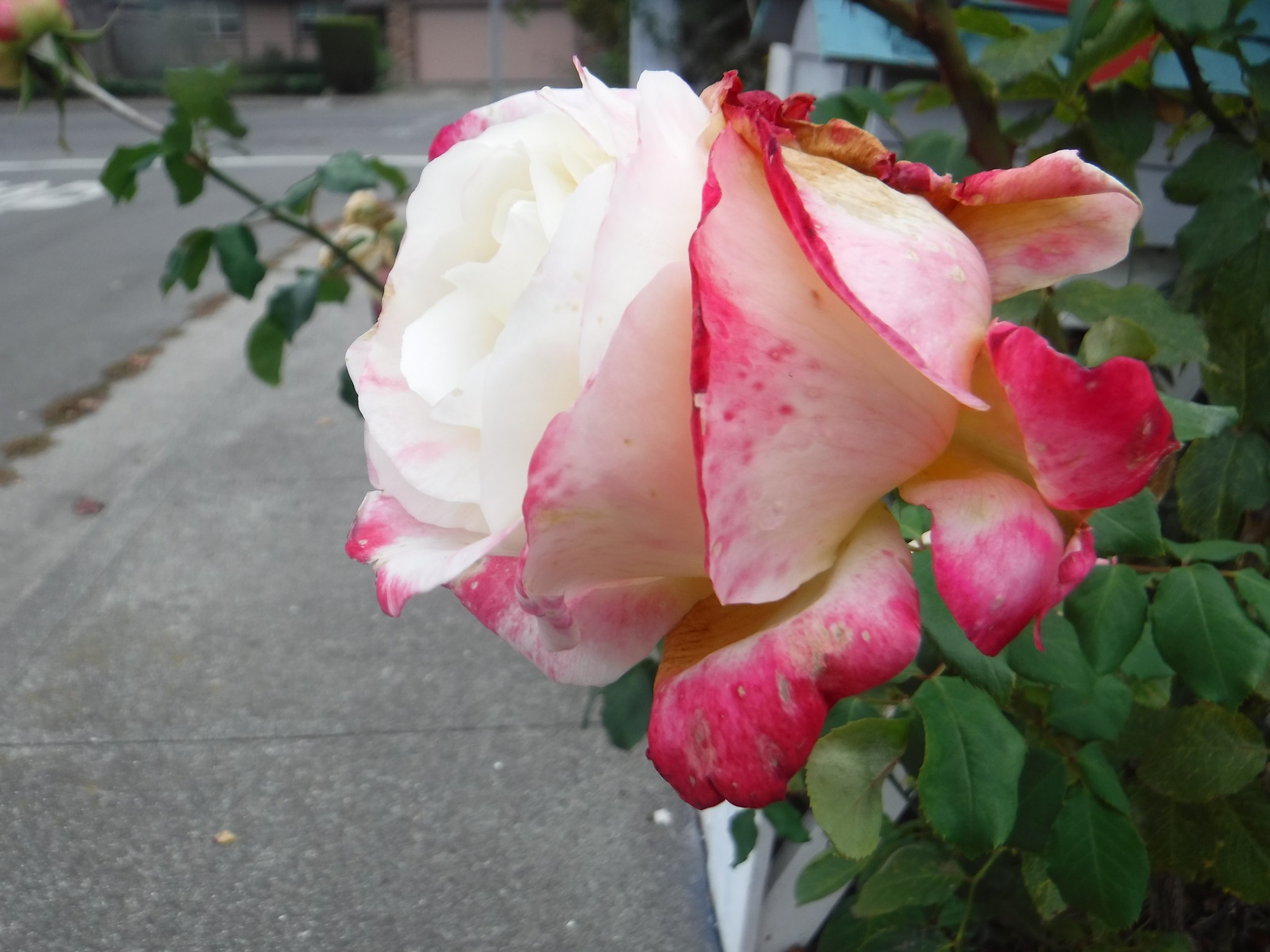 Photo taken by me Photo taken by me