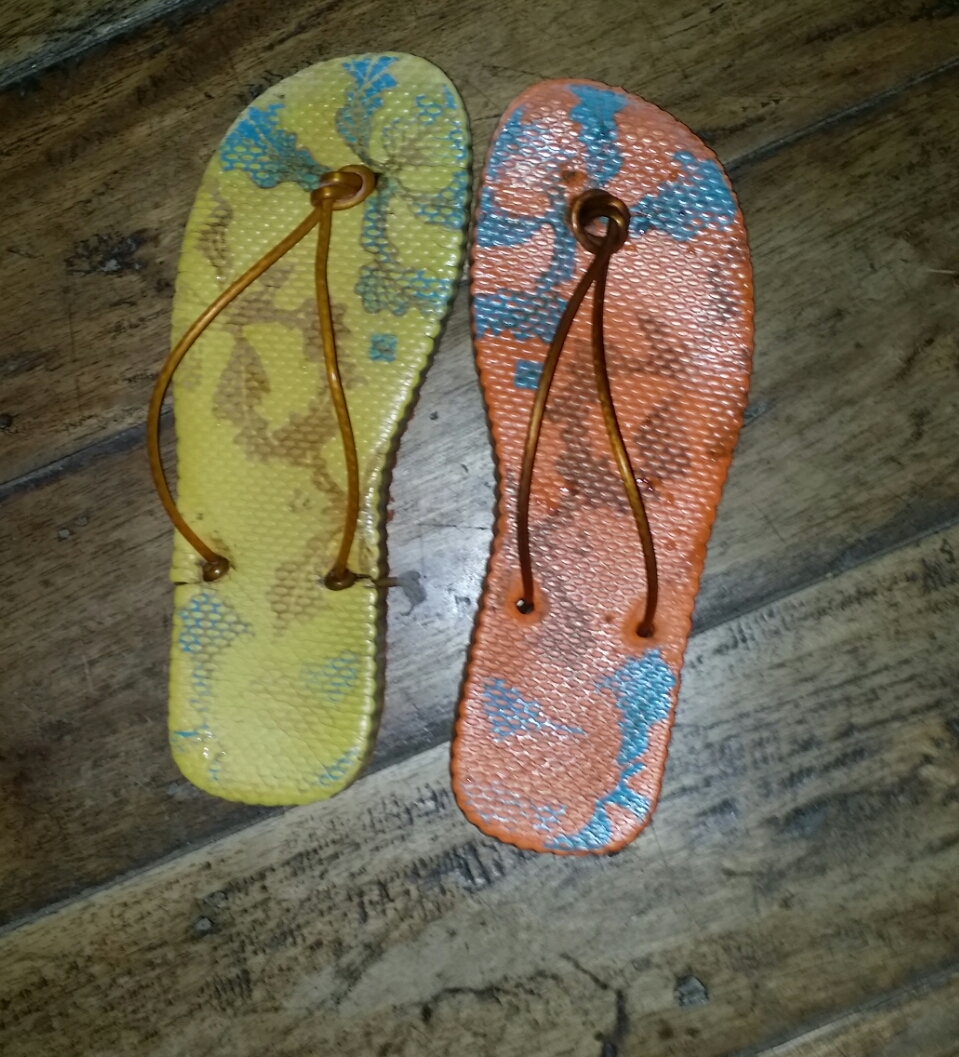 my pair of flip-flops of different colors used for the bathroom