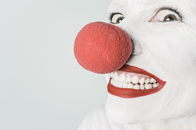 https://pixabay.com/en/clown-comedian-nose-circus-funny-362155/