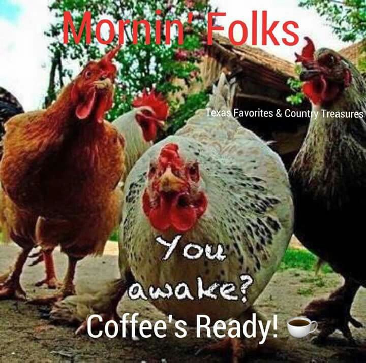 http://www.lovethispic.com/image/292356/morning-folks%2C-you-awake--coffee%27s-ready%21