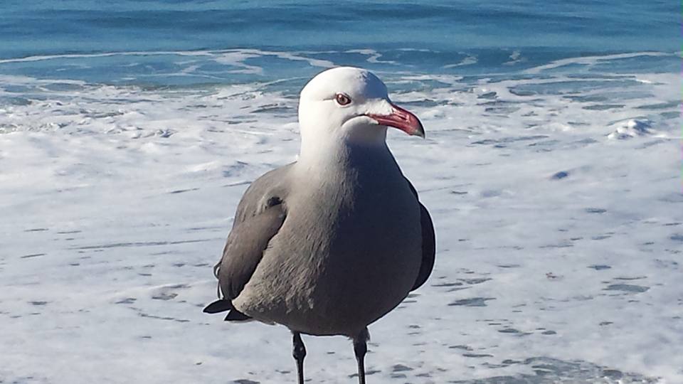 Photo taken by DeborahDian