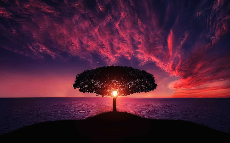 Let love always shine through to you, and out from you too.