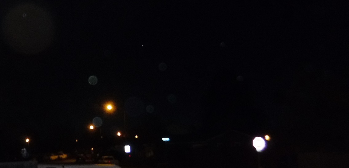 Photo taken by me 2-17-17 Photo taken by me 2-17-17