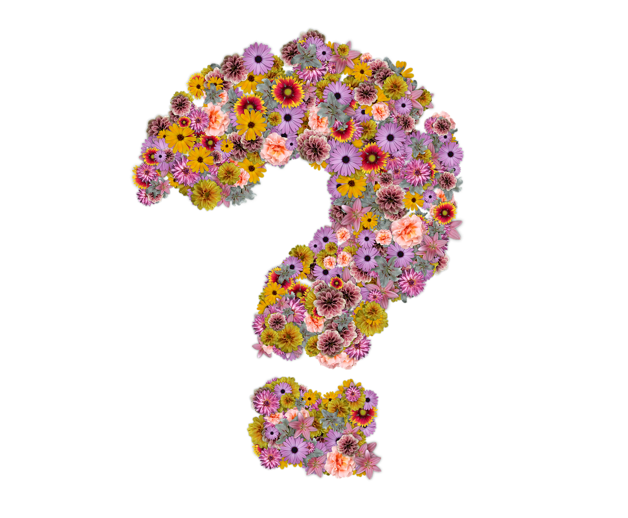 https://pixabay.com/en/question-mark-flowers-design-floral-2930474/