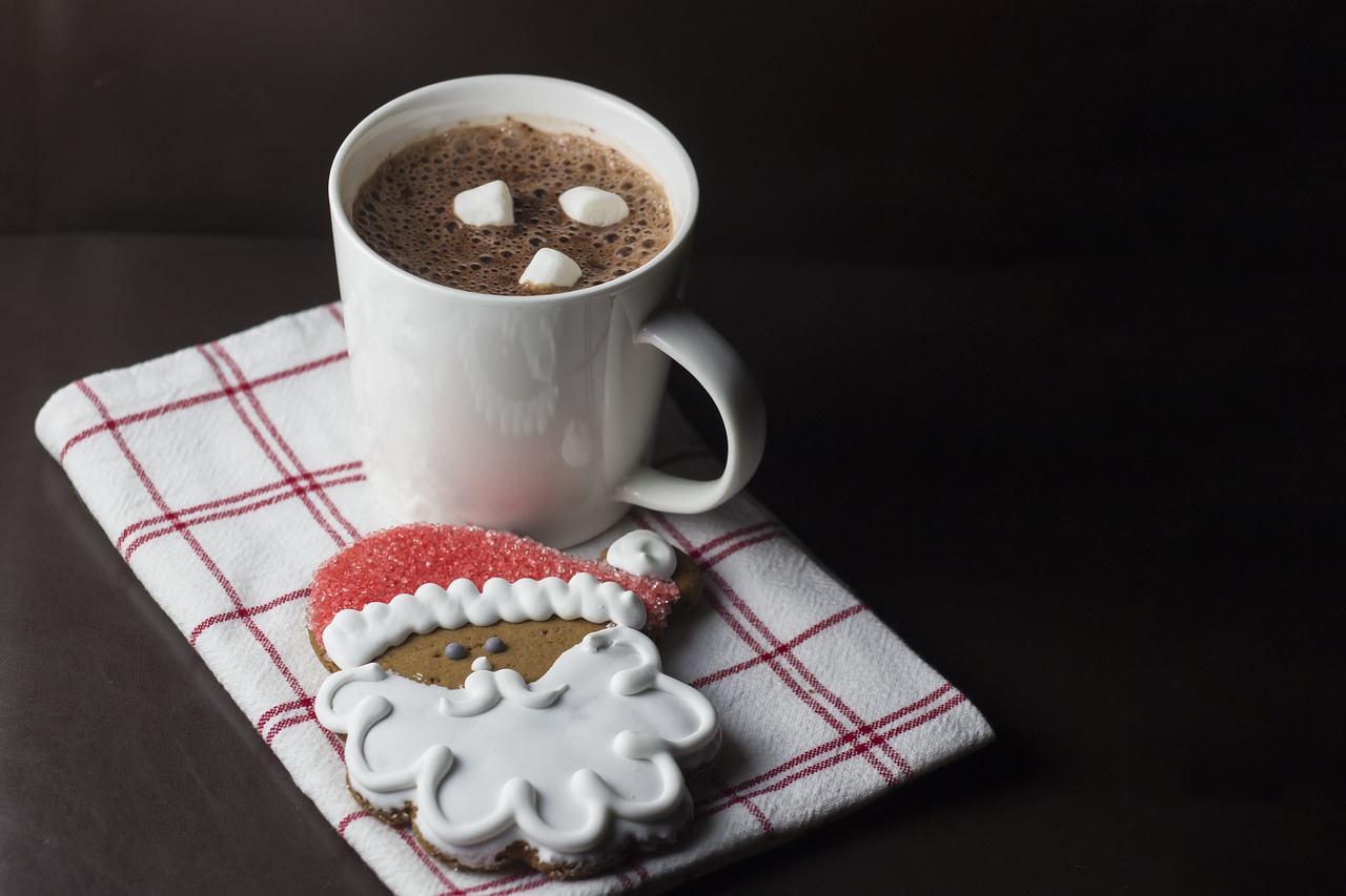 https://pixabay.com/en/christmas-santa-cookie-cup-hot-3021446/