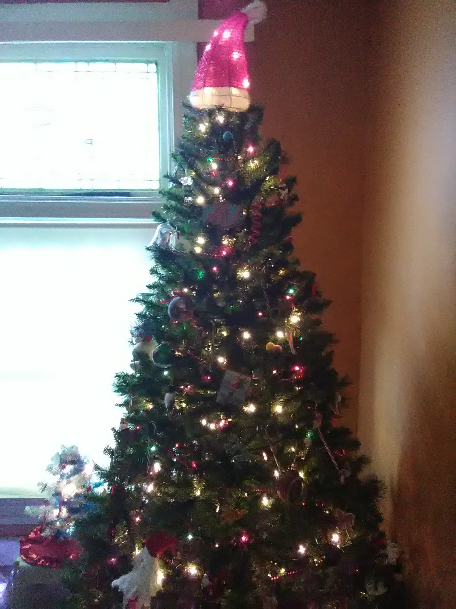 Photo Credit: I snapped and owned this photograph; it’s our Christmas tree this year.