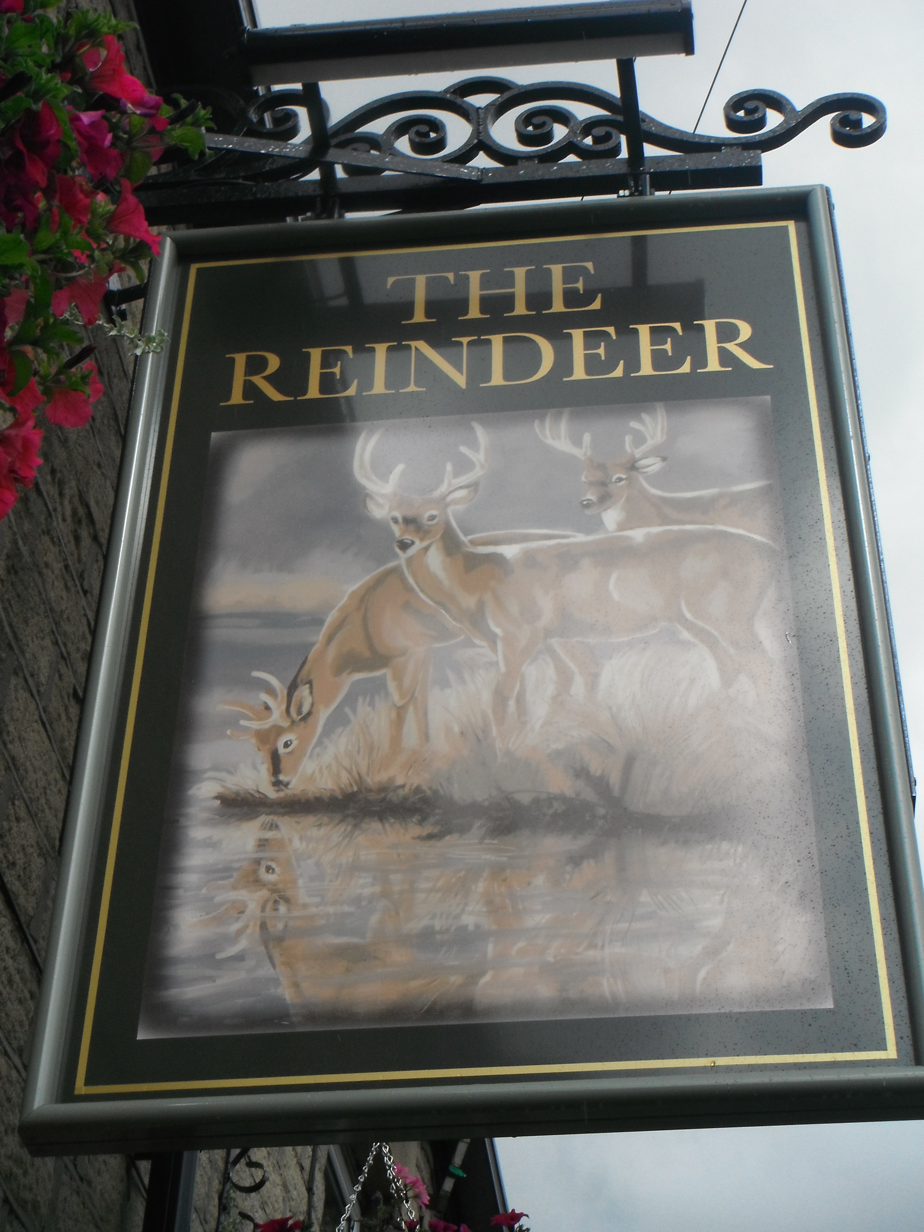 Photo taken by me – The Reindeer pub sign, Stalybridge, Manchester 