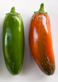 jalapeno peppers