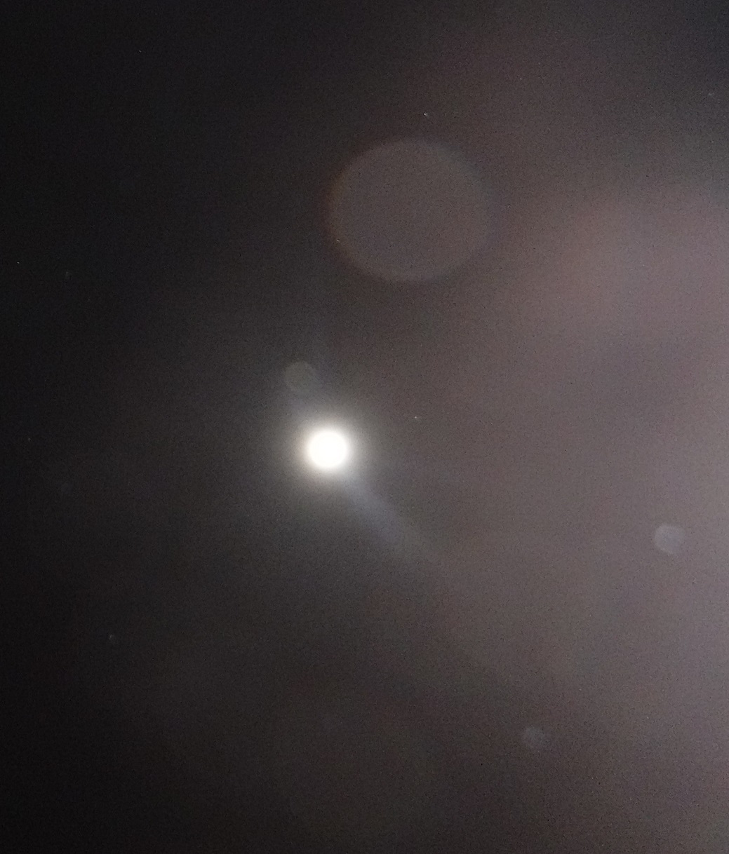 Photo taken by me 12-30-17 Photo taken by me 12-30-17