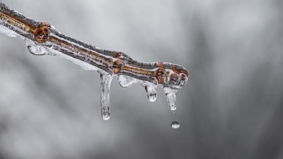 https://pixabay.com/en/ice-winter-cold-frozen-nature-570500/ https://pixabay.com/en/ice-winter-cold-frozen-nature-570500/