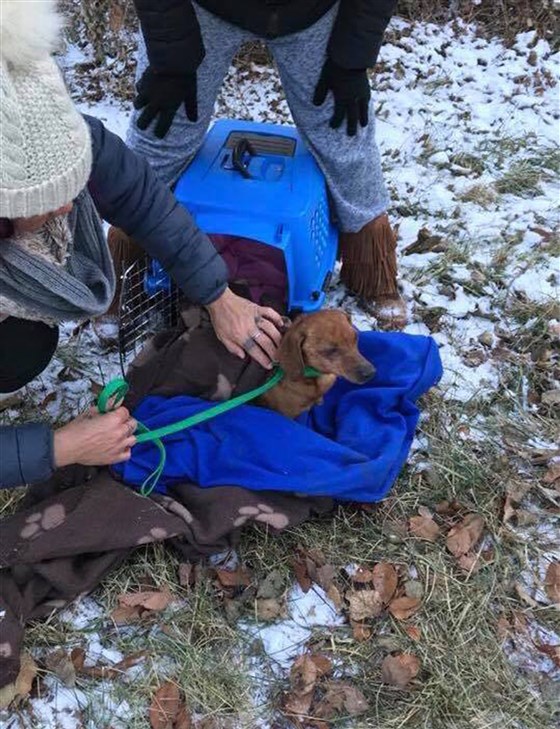 Lost dog found inside a duffel bag in New York City Lost dog found inside a duffel bag in New York City