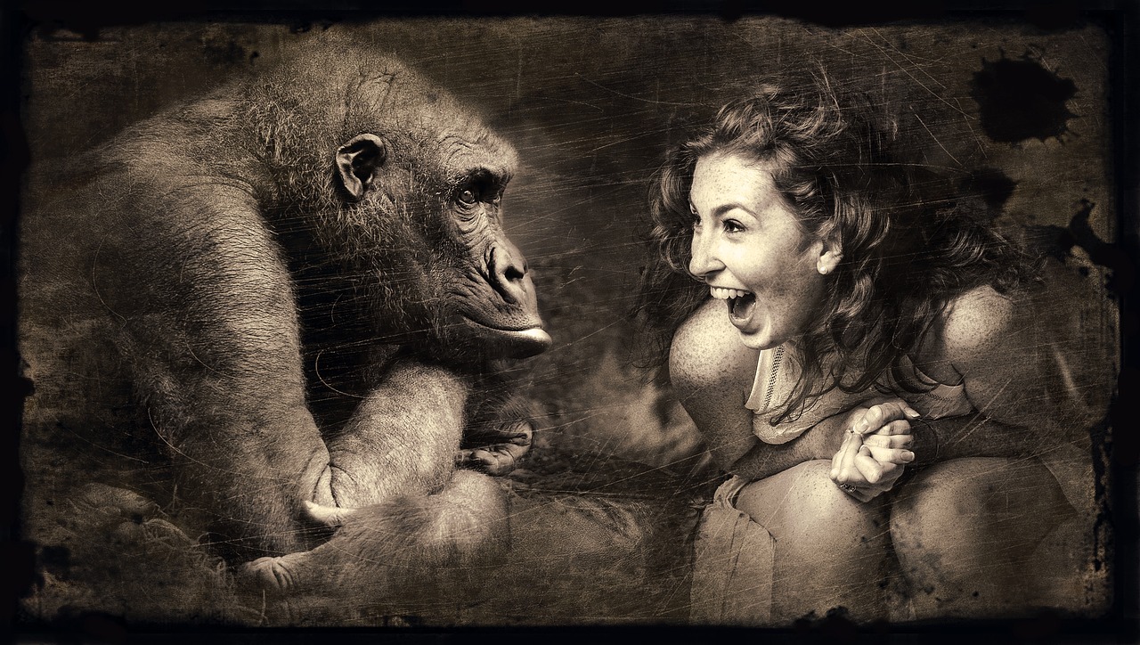 https://pixabay.com/en/composing-monkey-woman-laugh-2925179/