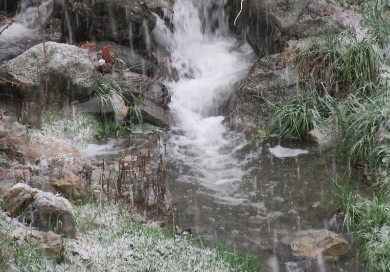 Rain falling into the small brook in front of our garden