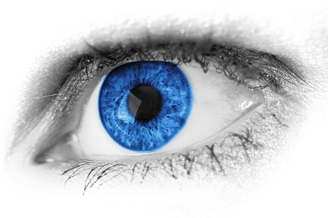 https://pixabay.com/en/abstract-beautiful-beauty-blue-19175/