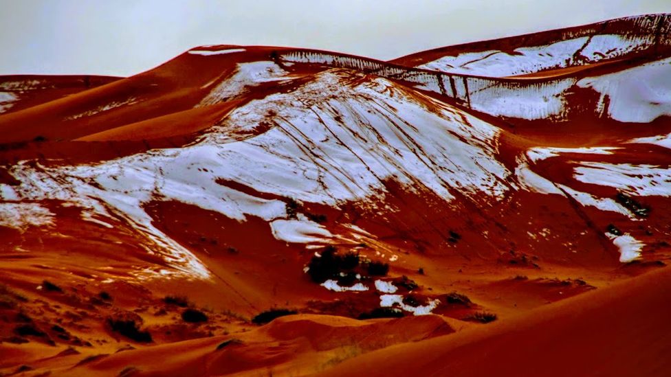 Sahara