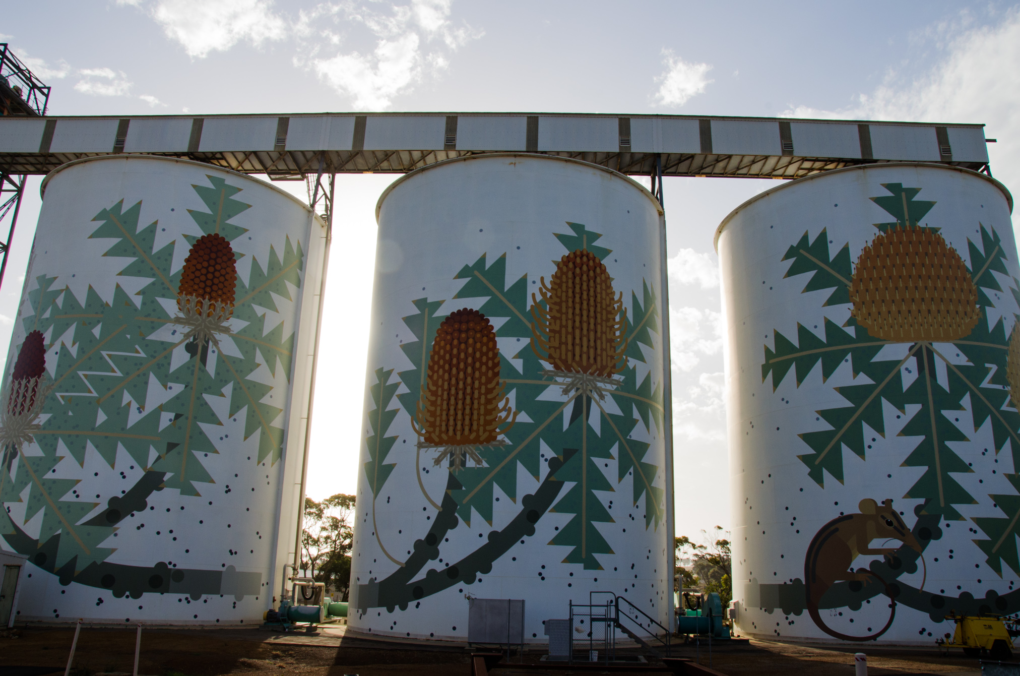 Grain silos at Ravensthorpe, Western Australia