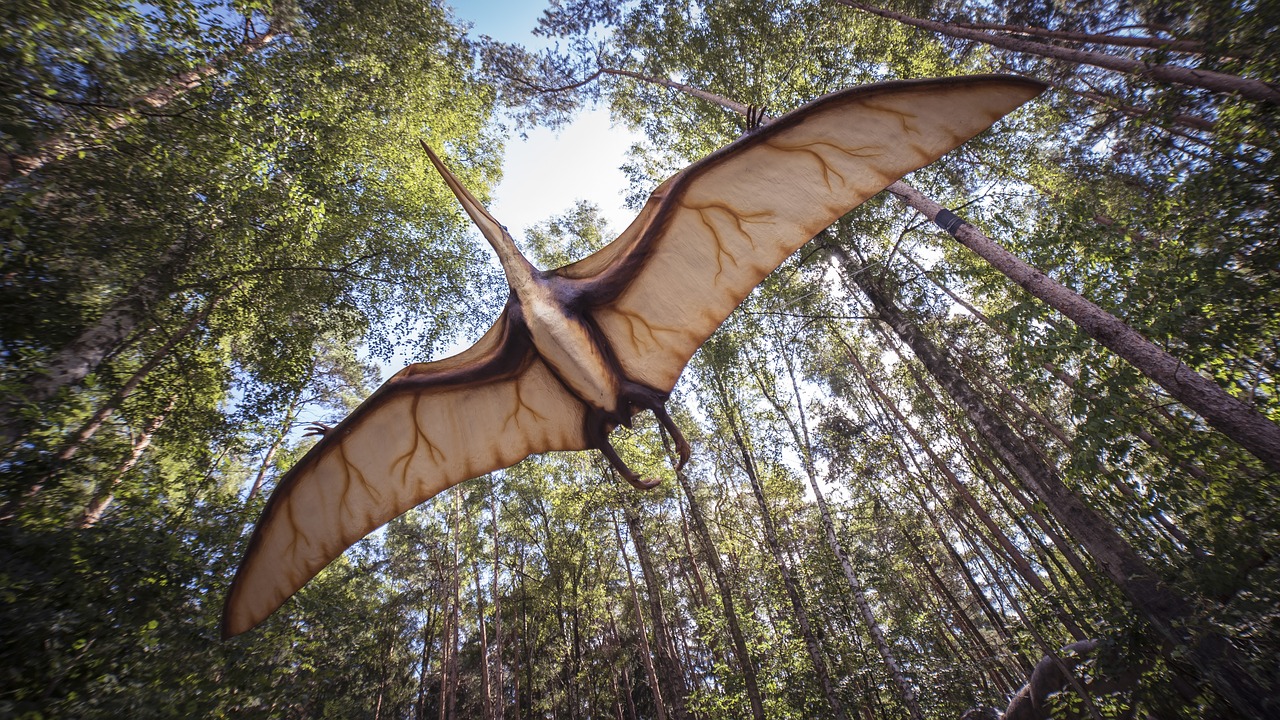 https://pixabay.com/en/pterosaur-reptile-extinct-2735500/