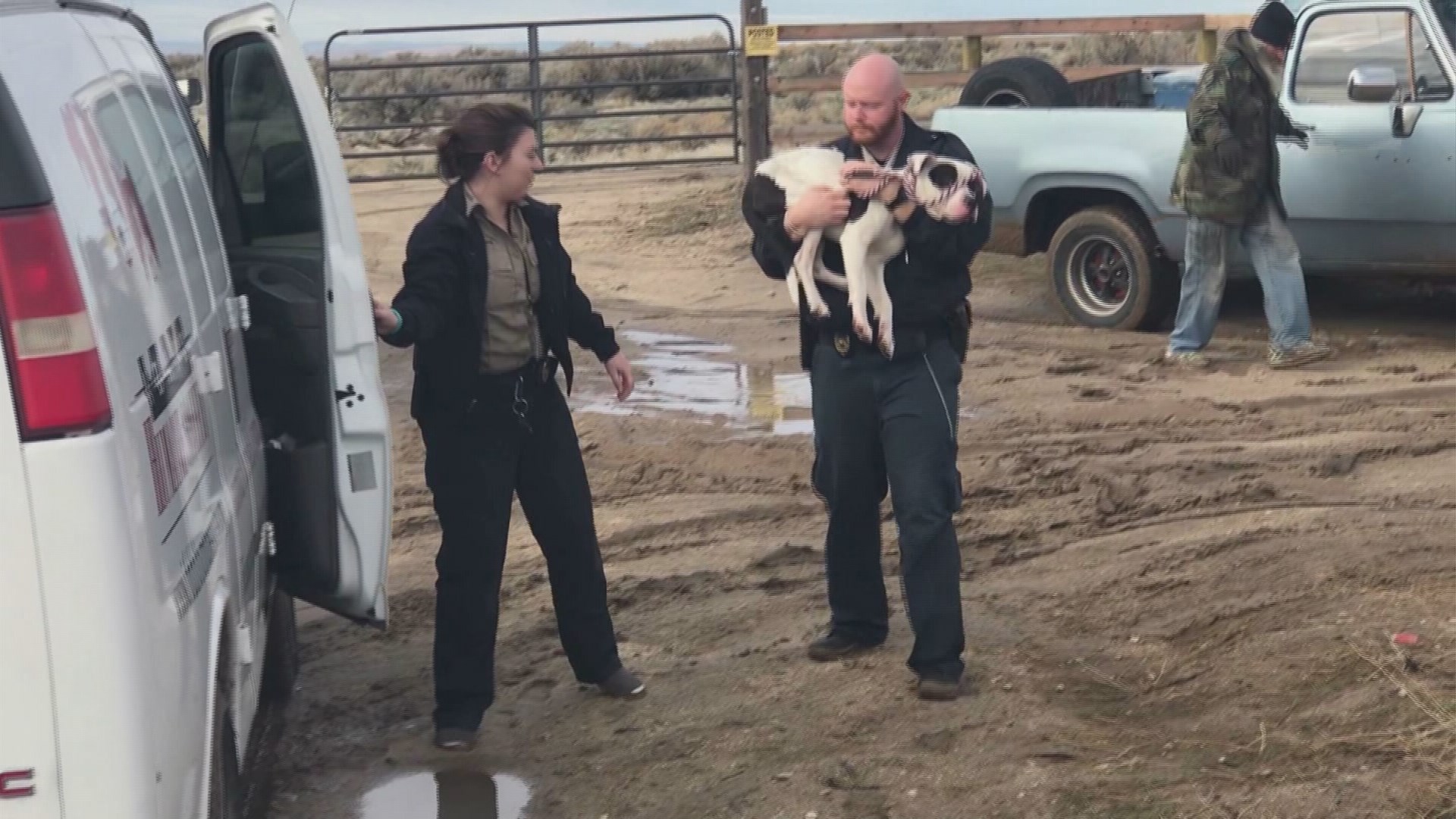 Idaho Humane Society and Apollo 