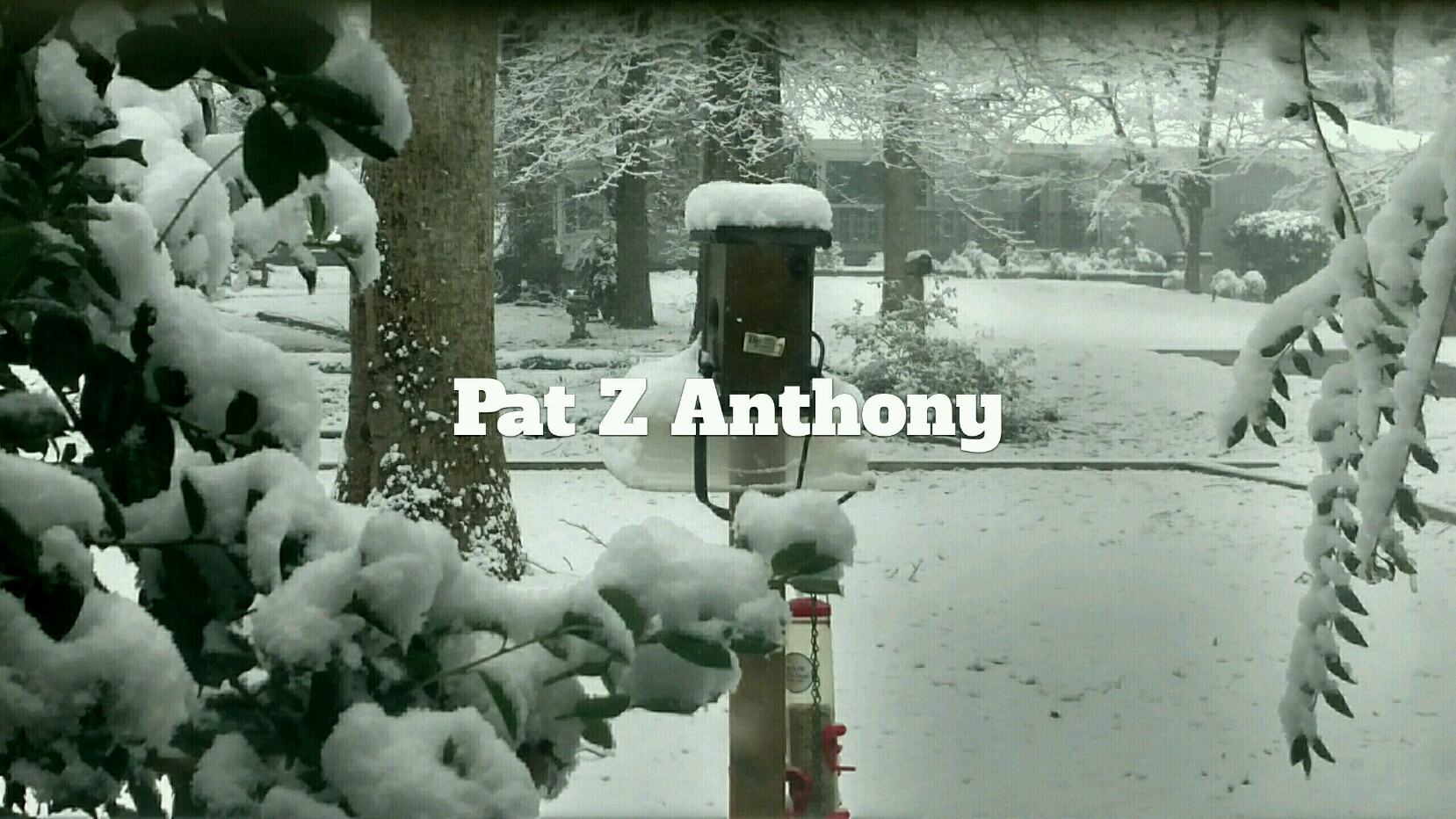 Bird houses in the snow by Pat Z Anthony