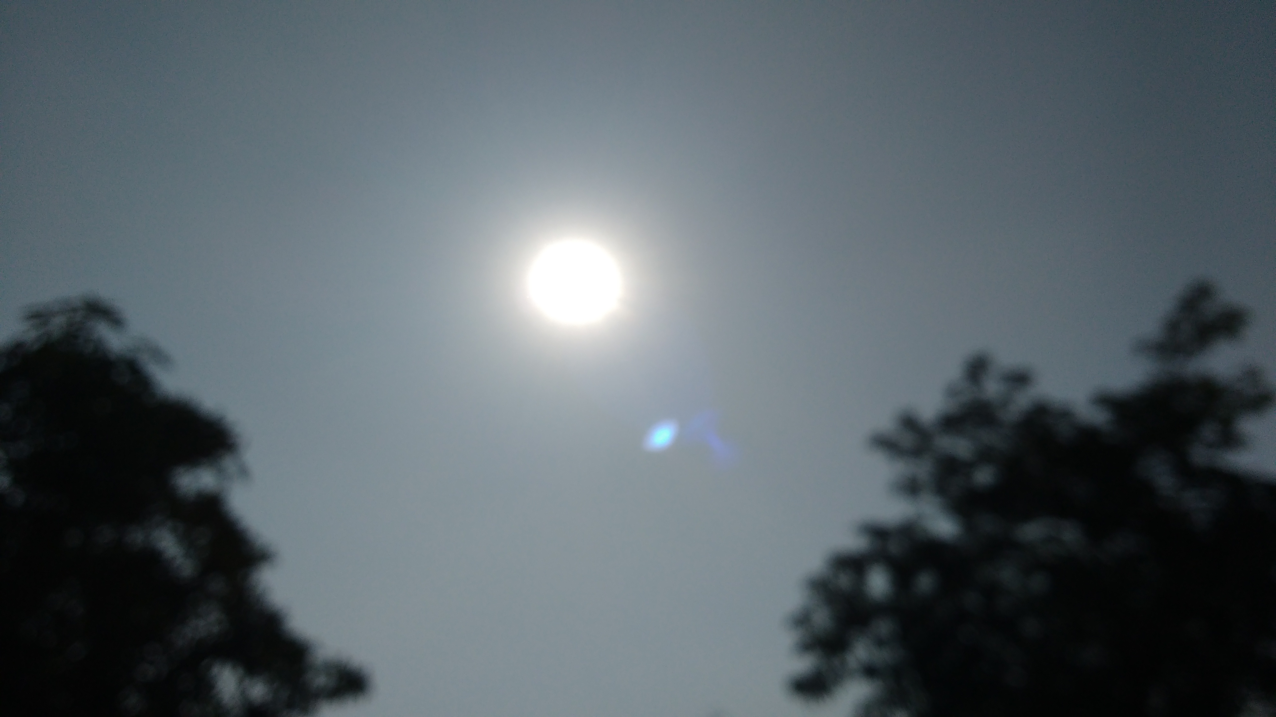 Sunny, Bright, Sun Sunny, Bright, Sun