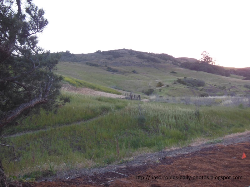 The Irish Hills above Costco, Taken from the Edge of the Costco Parking Lot