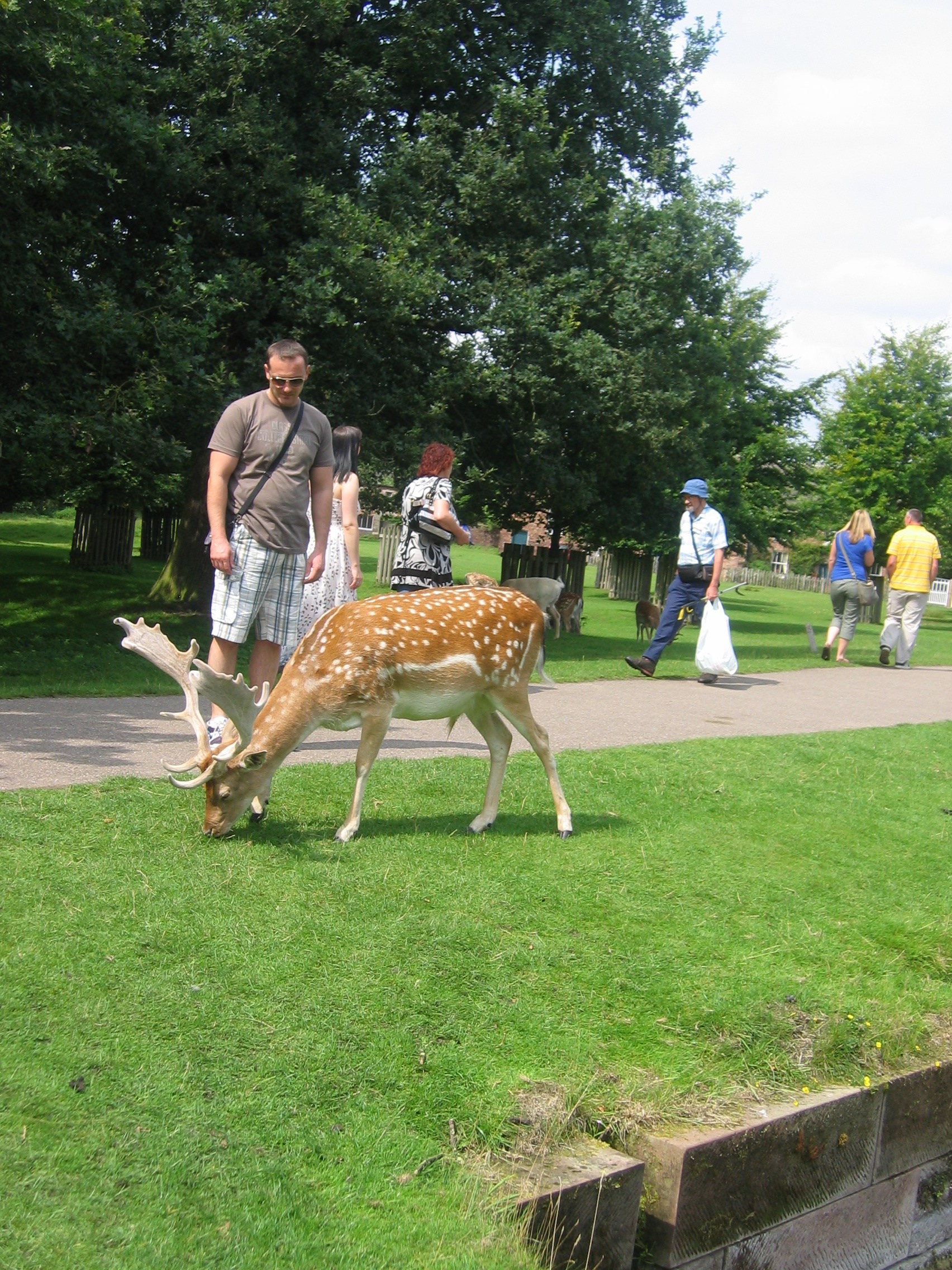 Dunham deer - taken by me