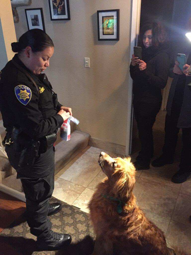 Pittsburg Police Officer and Moe the hero dog
