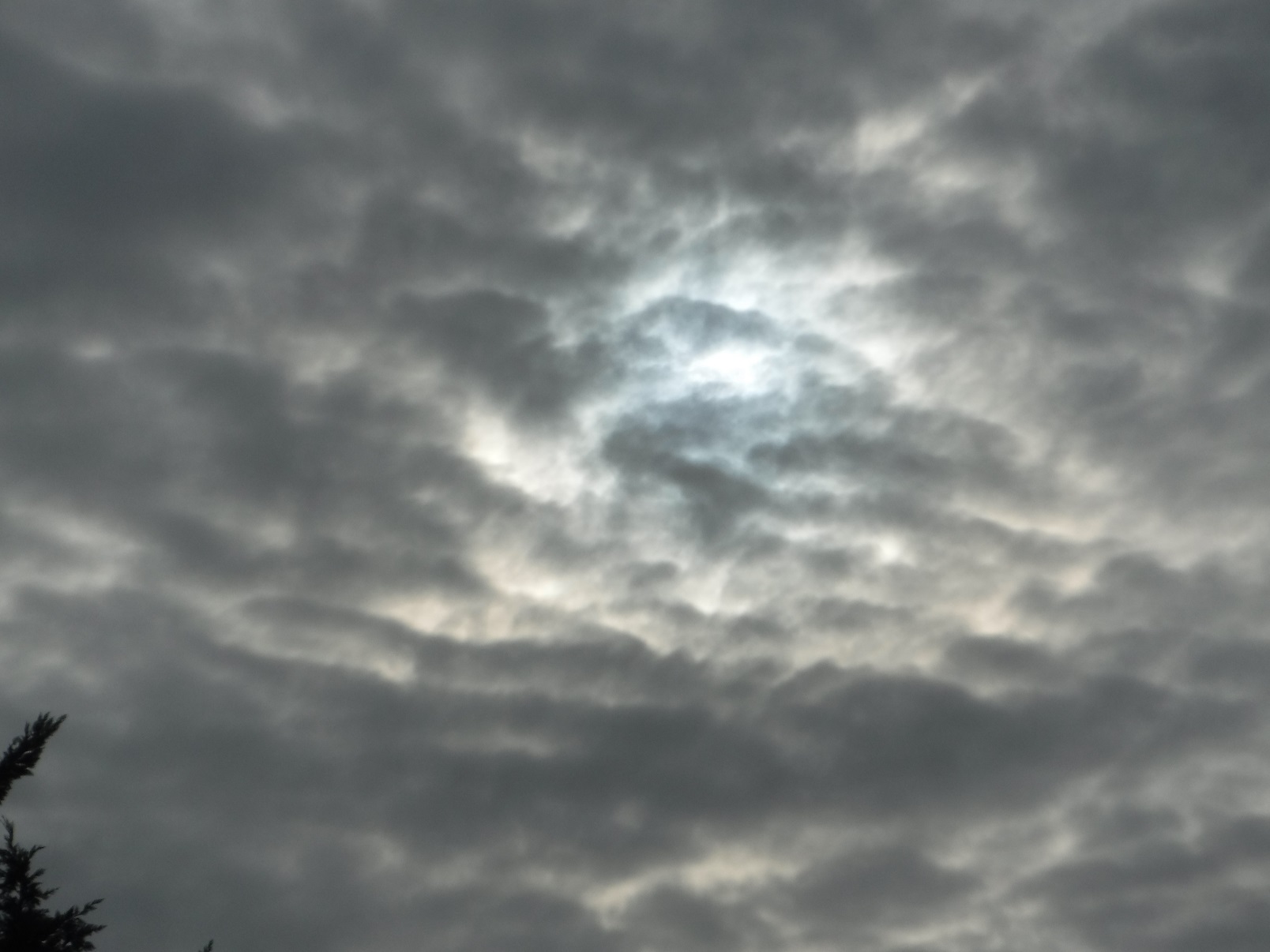 Photo taken by me 1-27-18