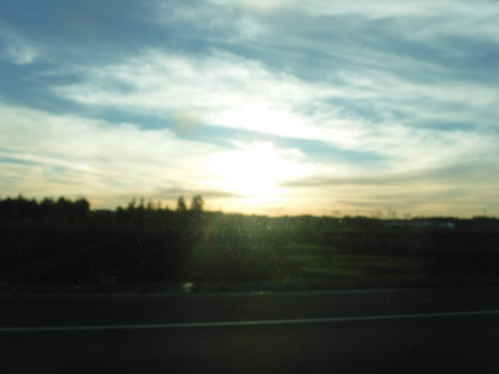 Photo taken by me 11-18-17 Photo taken by me 11-18-17