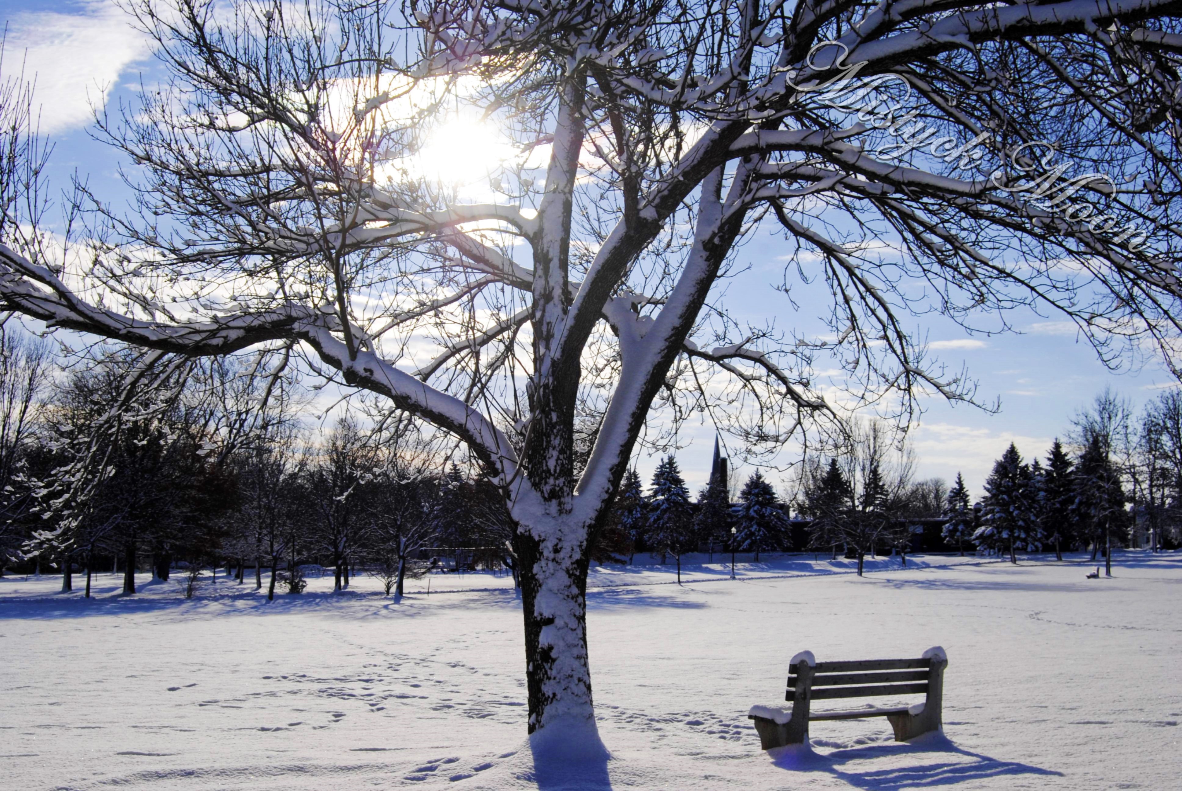Frozen Frozen
