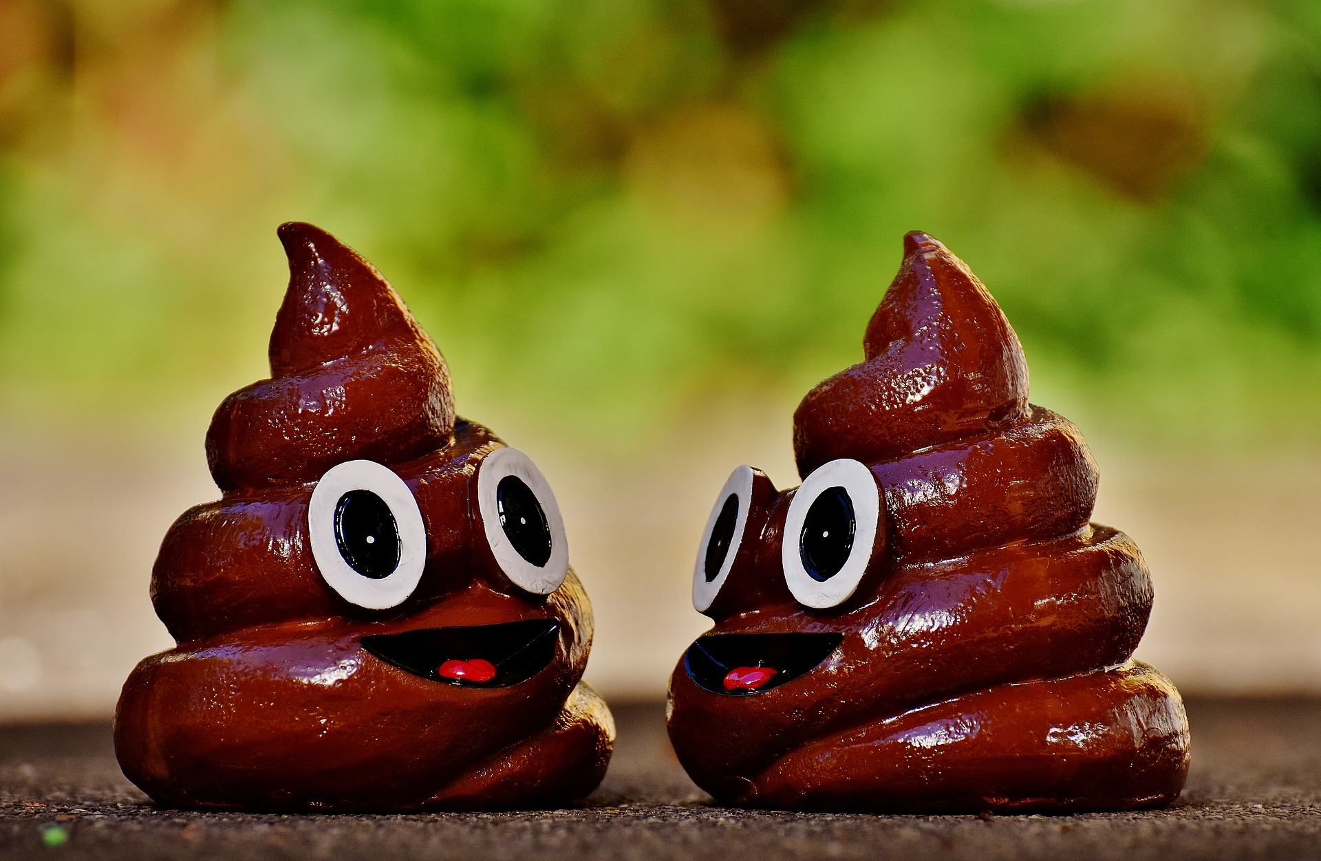 Image Source: Pixabay, Image Source: Pixabay,
