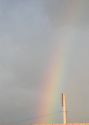 rainbow over marcilla navarra this very afternoon.