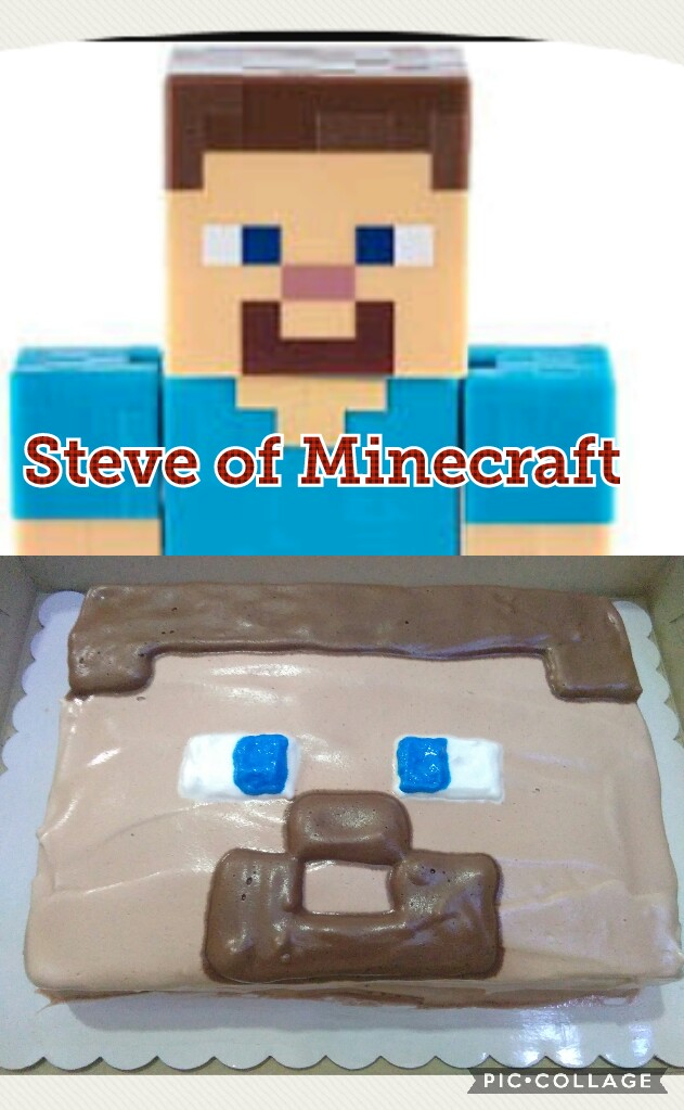 Steve picture from google image, the bottom is my steve cake