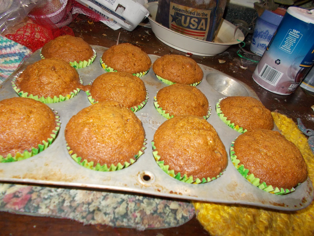 11 pumpkin muffins