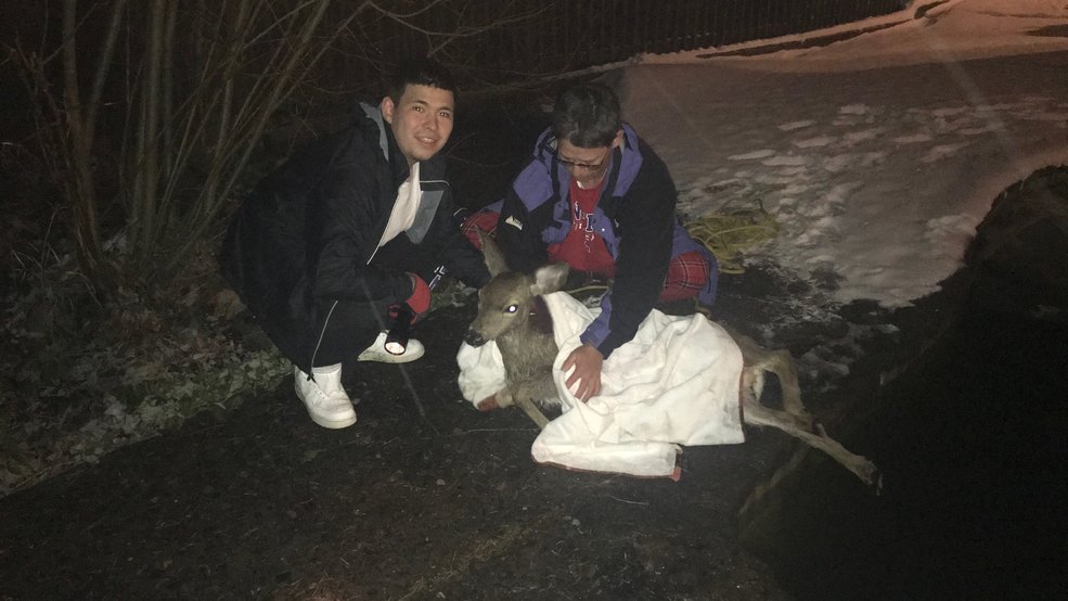 Mason family rescues a fawn who fell into their pool in Oregon.