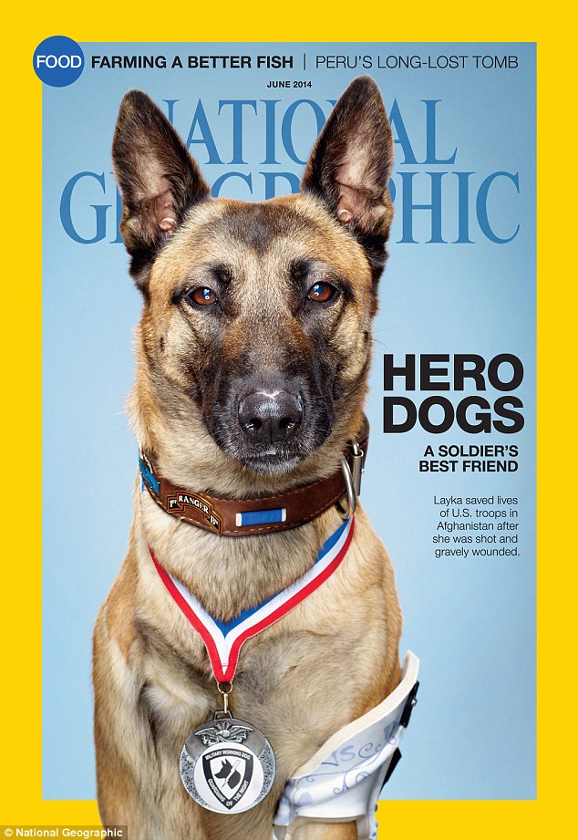 German Shepherd on the cover of a magazine German Shepherd on the cover of a magazine