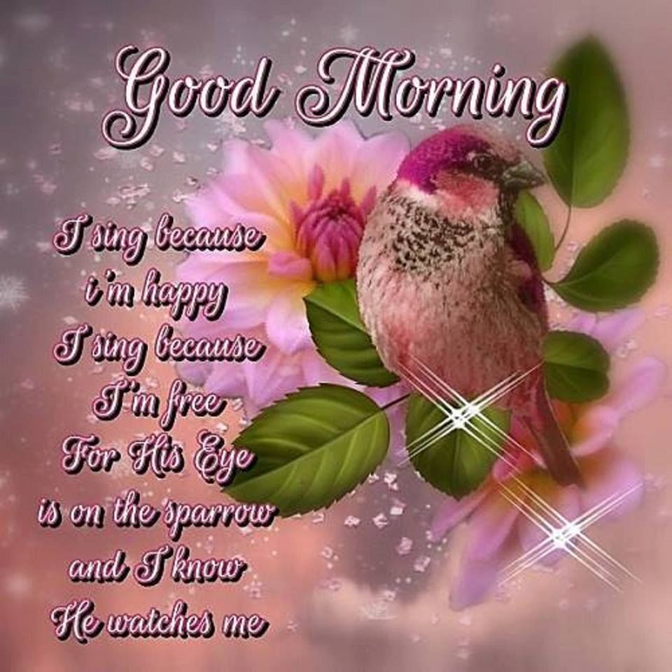 Pinterest Pinterest