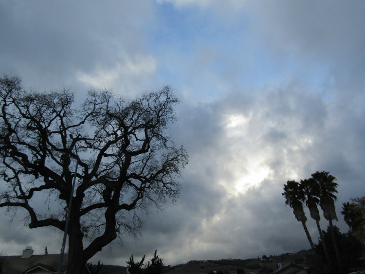 Late Afternoon Sky Between Showers Late Afternoon Sky Between Showers