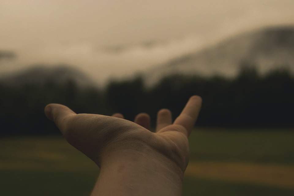 You need never reach out to love, just always remain open to receiving it. You need never reach out to love, just always remain open to receiving it.