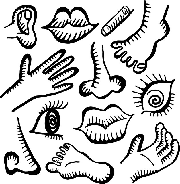 https://pixabay.com/en/anatomy-icons-shapes-ear-lips-1234026/ https://pixabay.com/en/anatomy-icons-shapes-ear-lips-1234026/