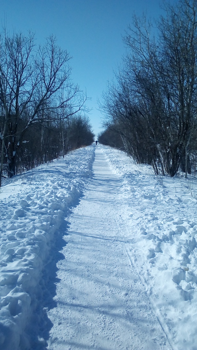 a beautiful snowy walk Image:[@Freelanzer]