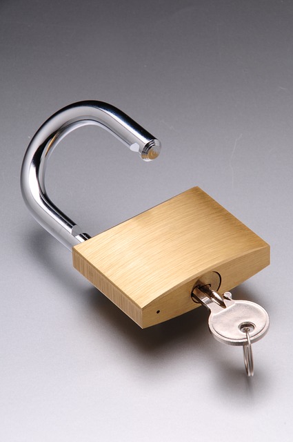 https://pixabay.com/en/tools-padlocks-unlock-lock-access-2836961/