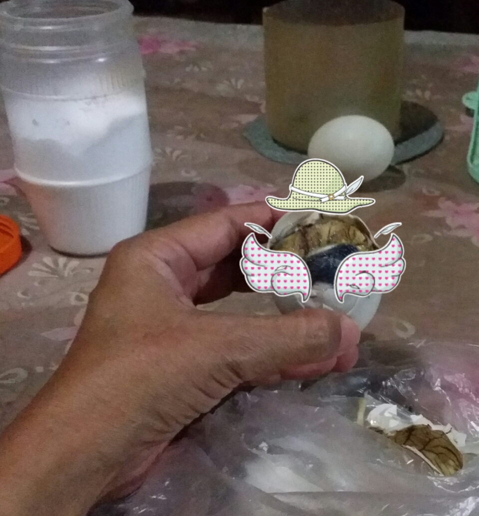 my balut my balut
