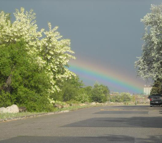 Rainbow Span