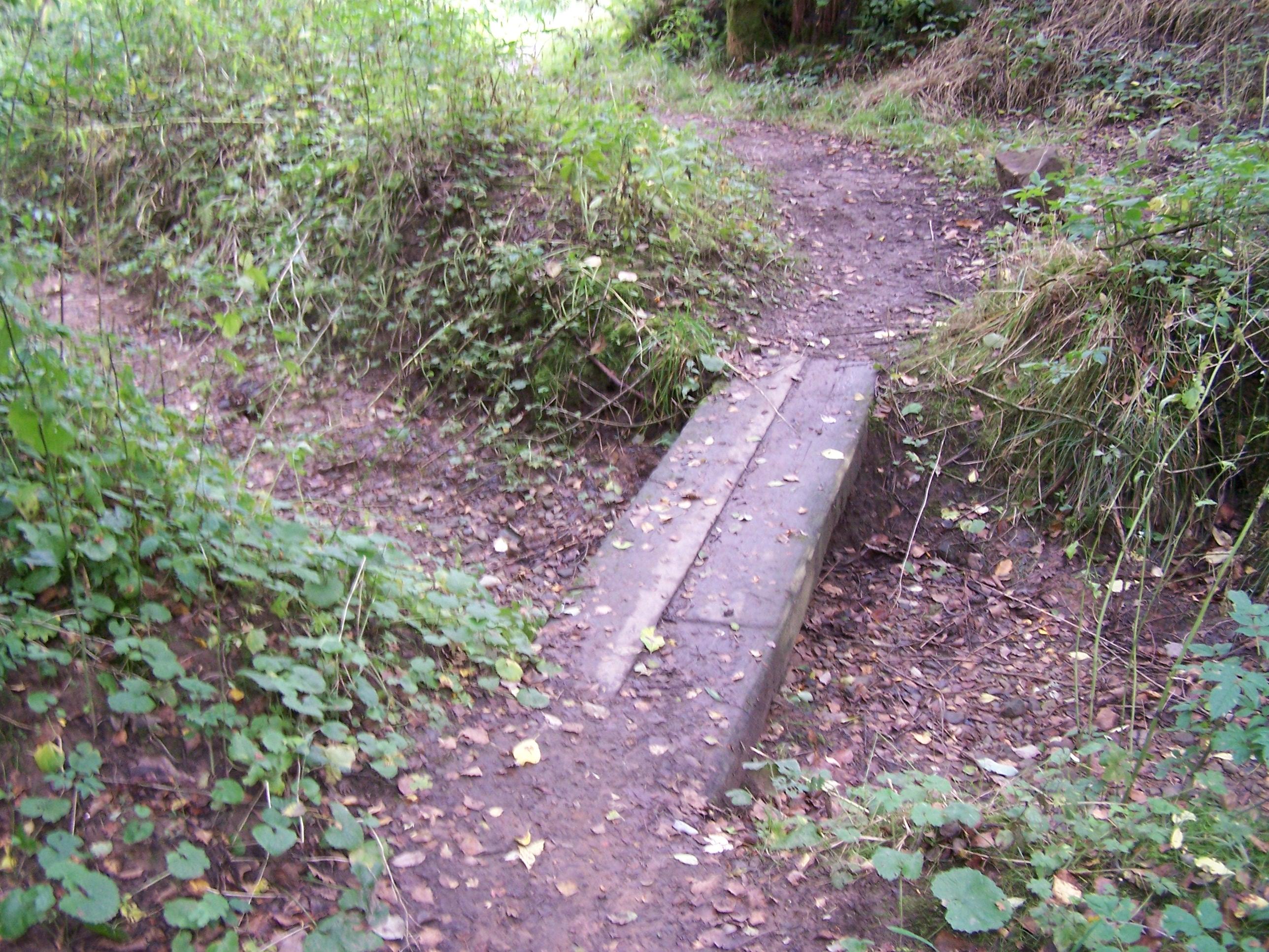 Photo taken by me - footpath in Daisy Nook, Ashton, Manchester