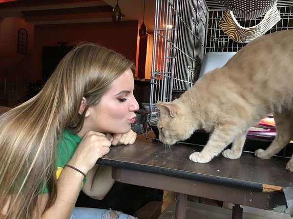 Kelly Davis reunites with her cat Pancake