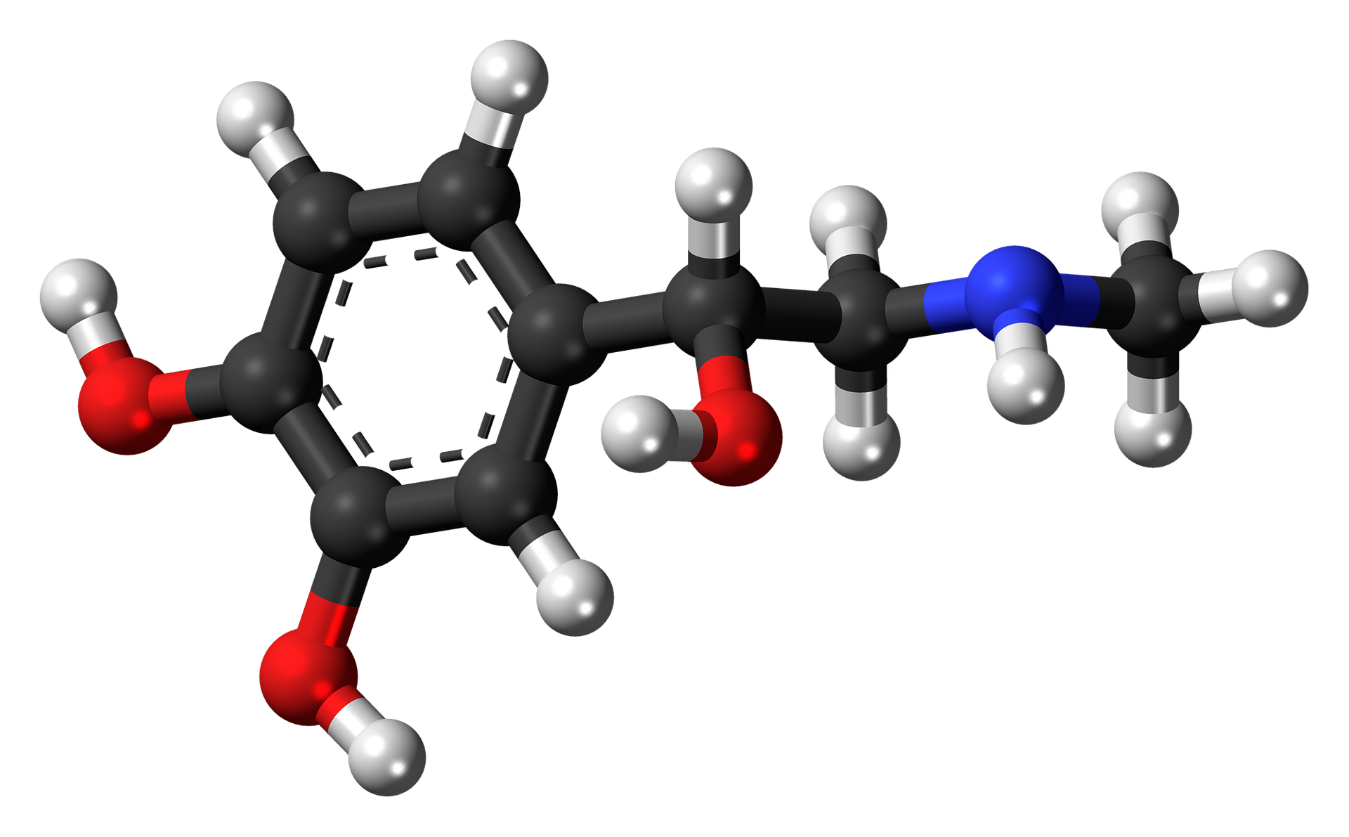 Hormone-Testosterone Hormone-Testosterone