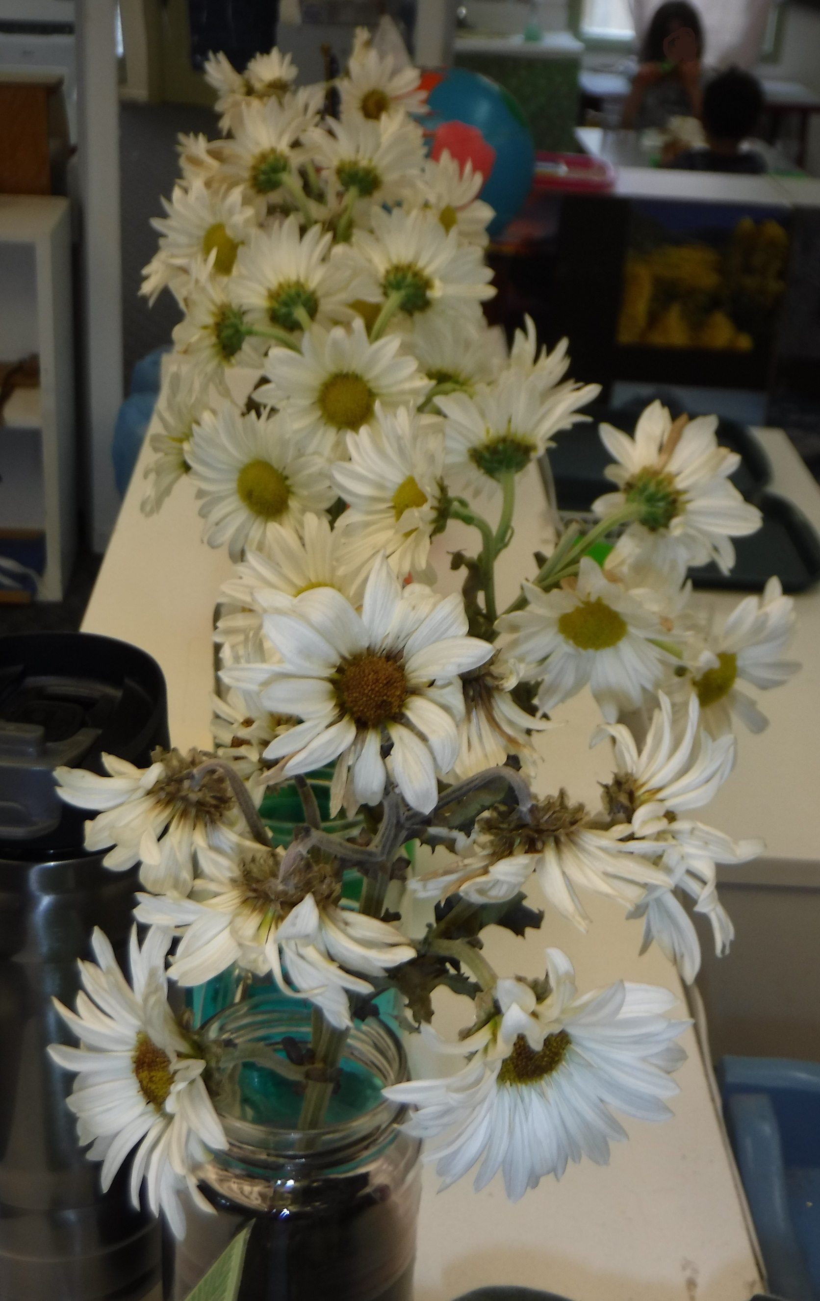 Flowers at work-photo taken by me Flowers at work-photo taken by me