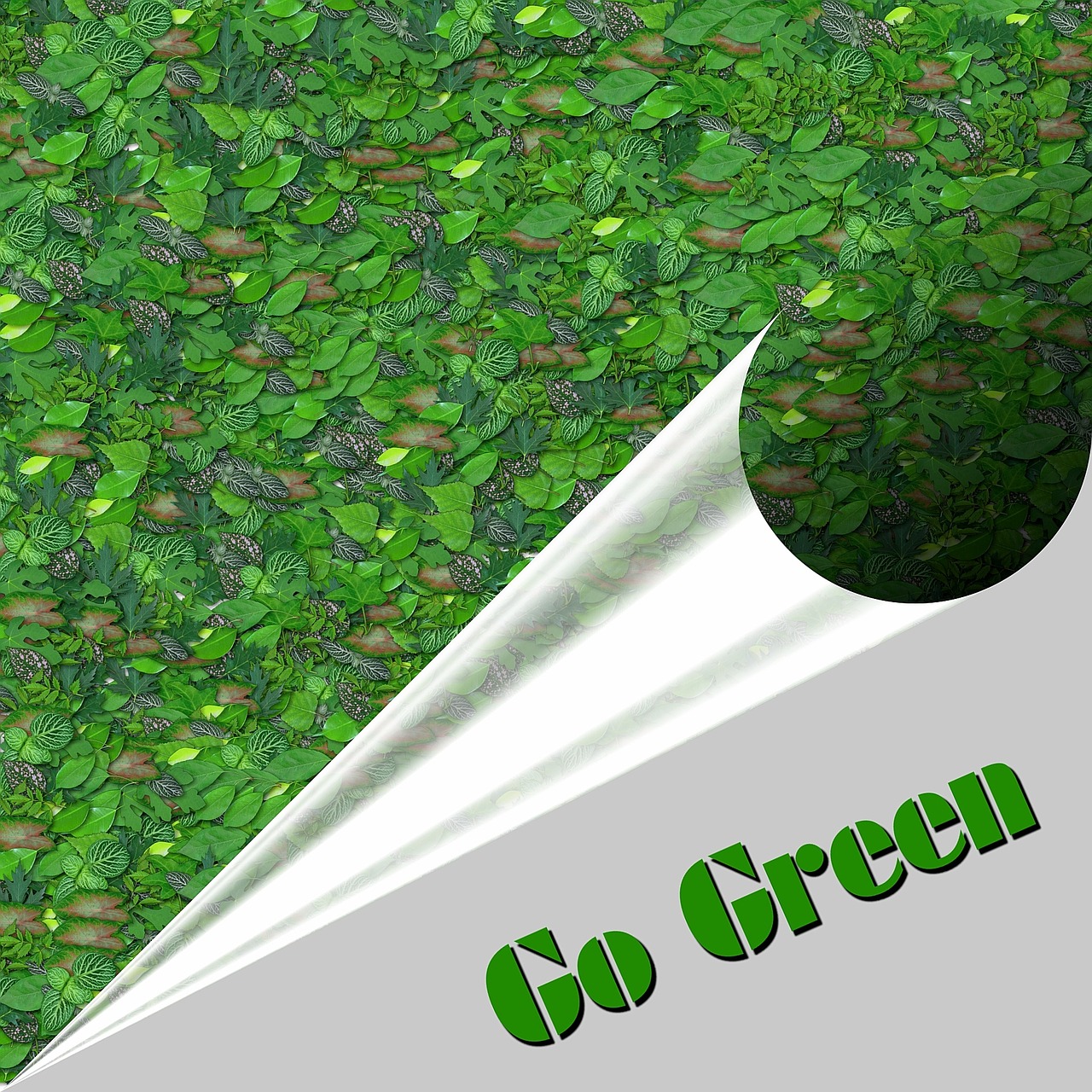 https://pixabay.com/en/go-green-ecology-environmental-1443088/ https://pixabay.com/en/go-green-ecology-environmental-1443088/