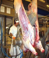 Slaughter house. - Slaughter house.